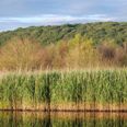 Private protected areas                                                                                                                                                                                 